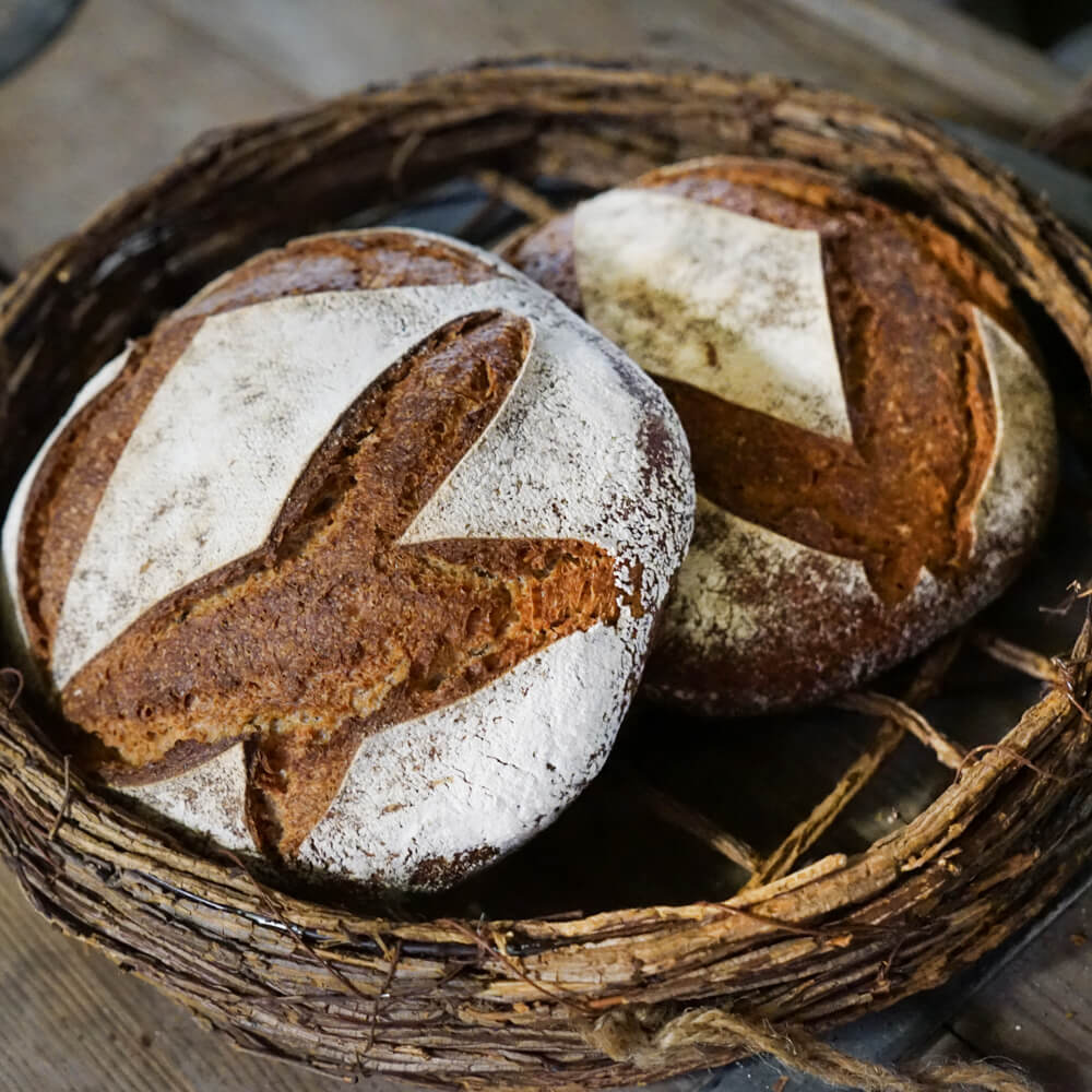 Emmerkruste mit Langzeitfuehrung